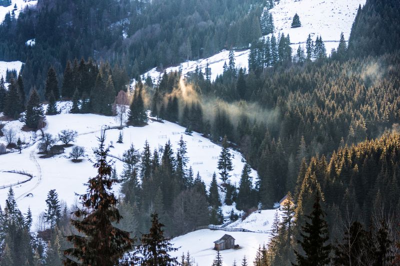 *** фото превью