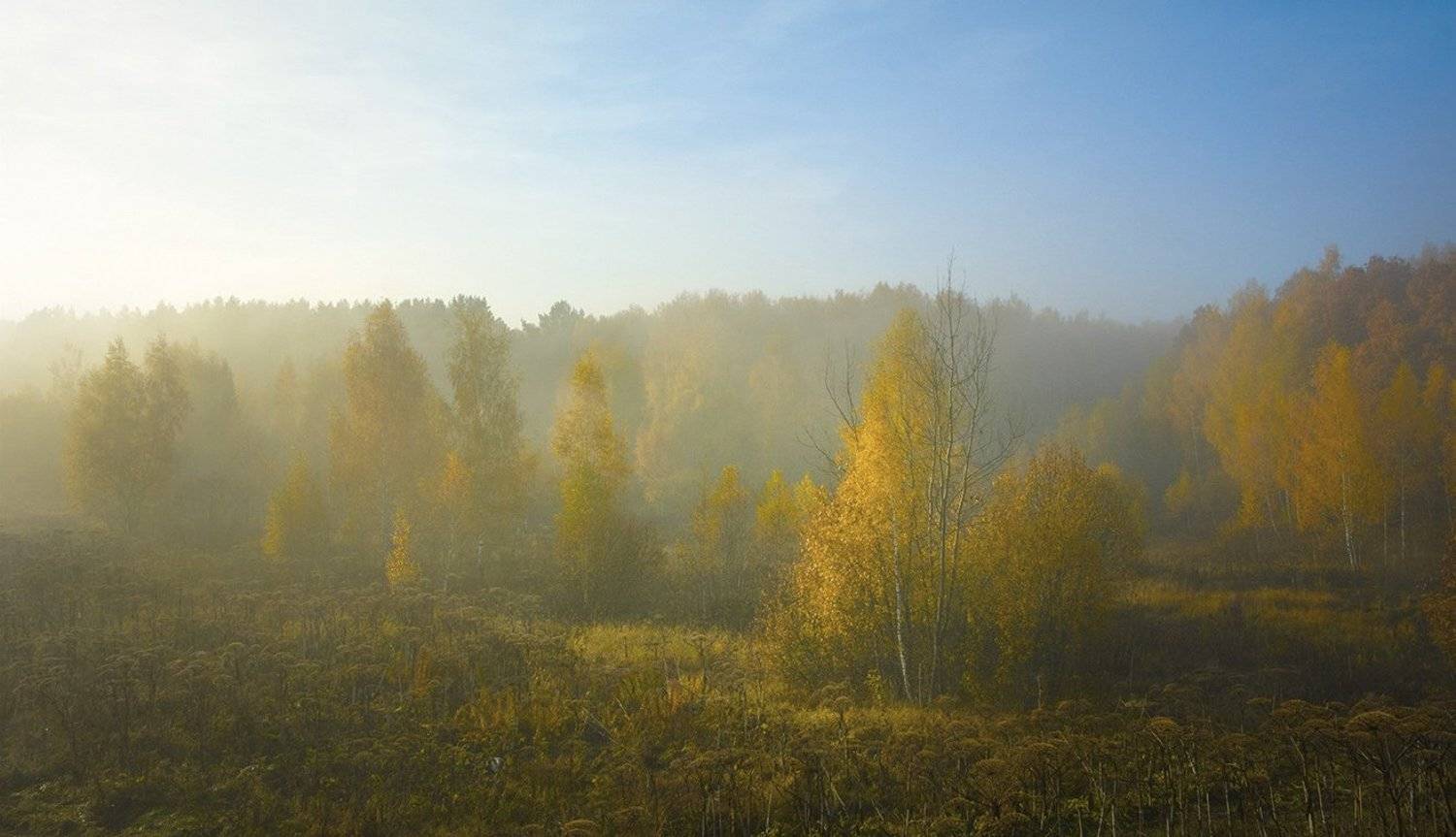 , Анатолий Зверев