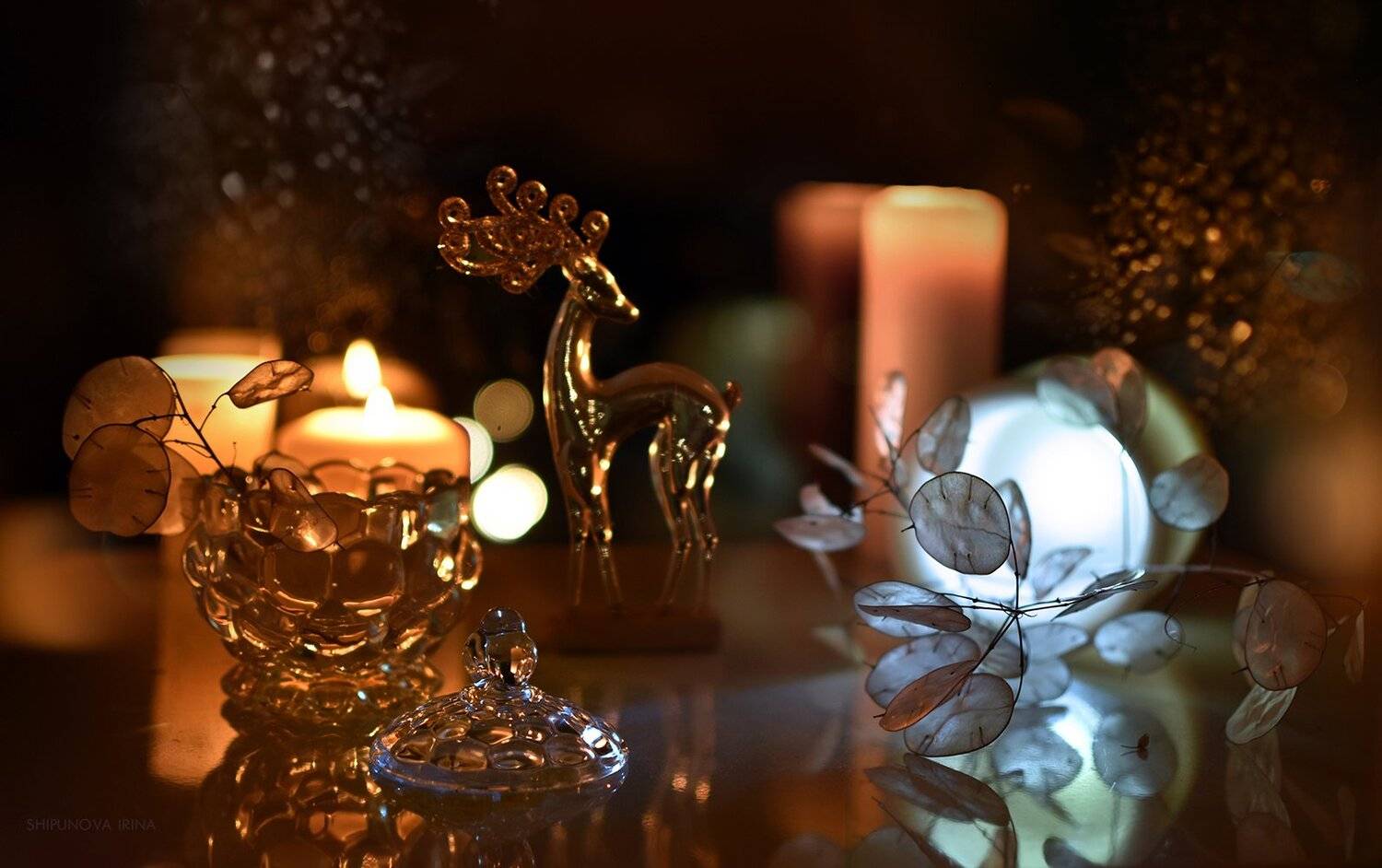 , Шипунова Ирина