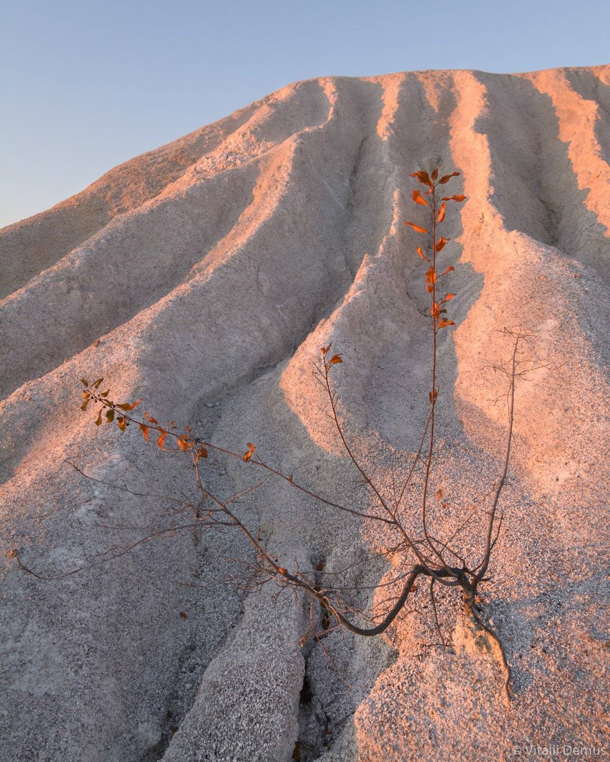 осень, желтый, рассвет,  утро, природа, свет, солнечный свет, лучи солнца, куст, засуха, Виталий Демус