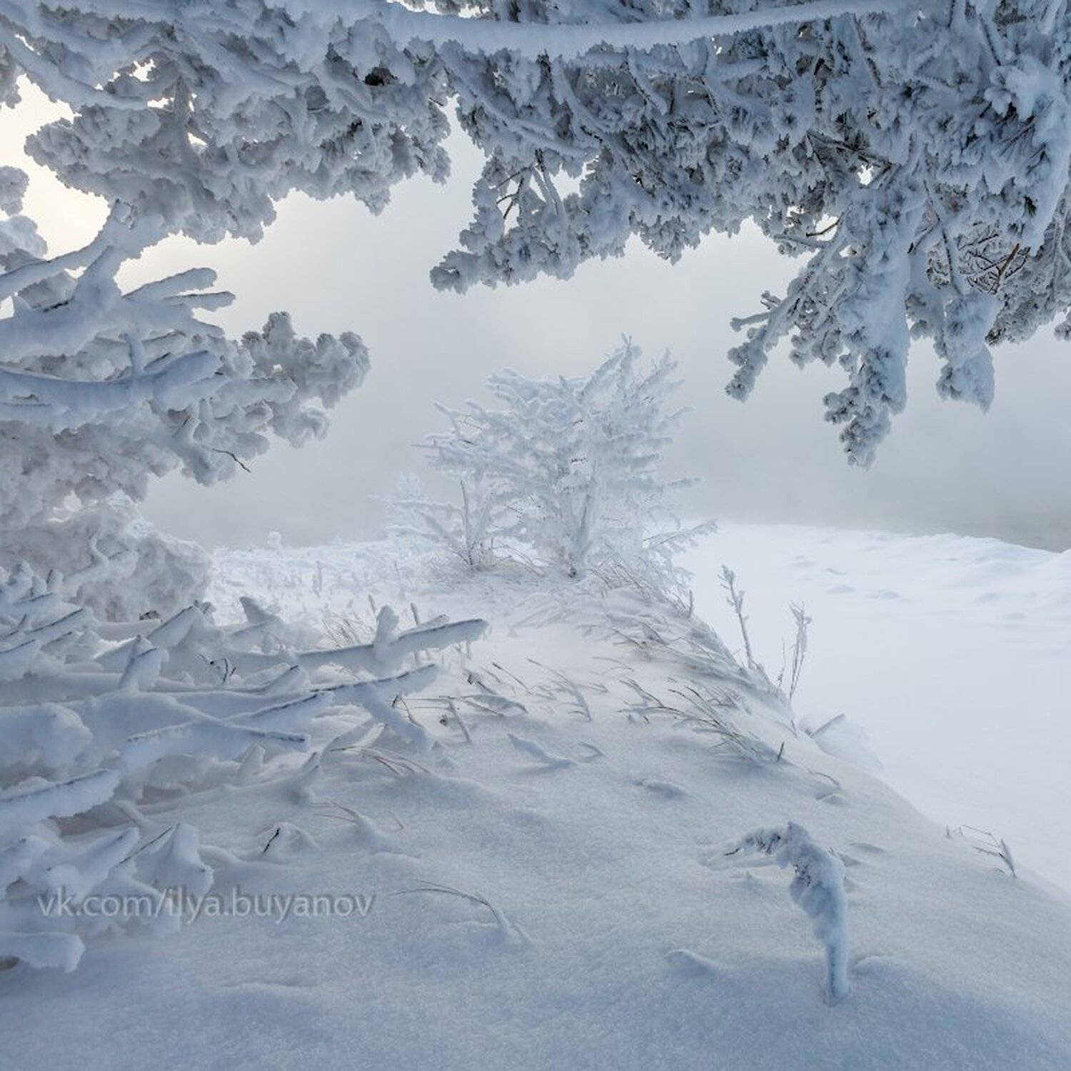 , Илья Буянов