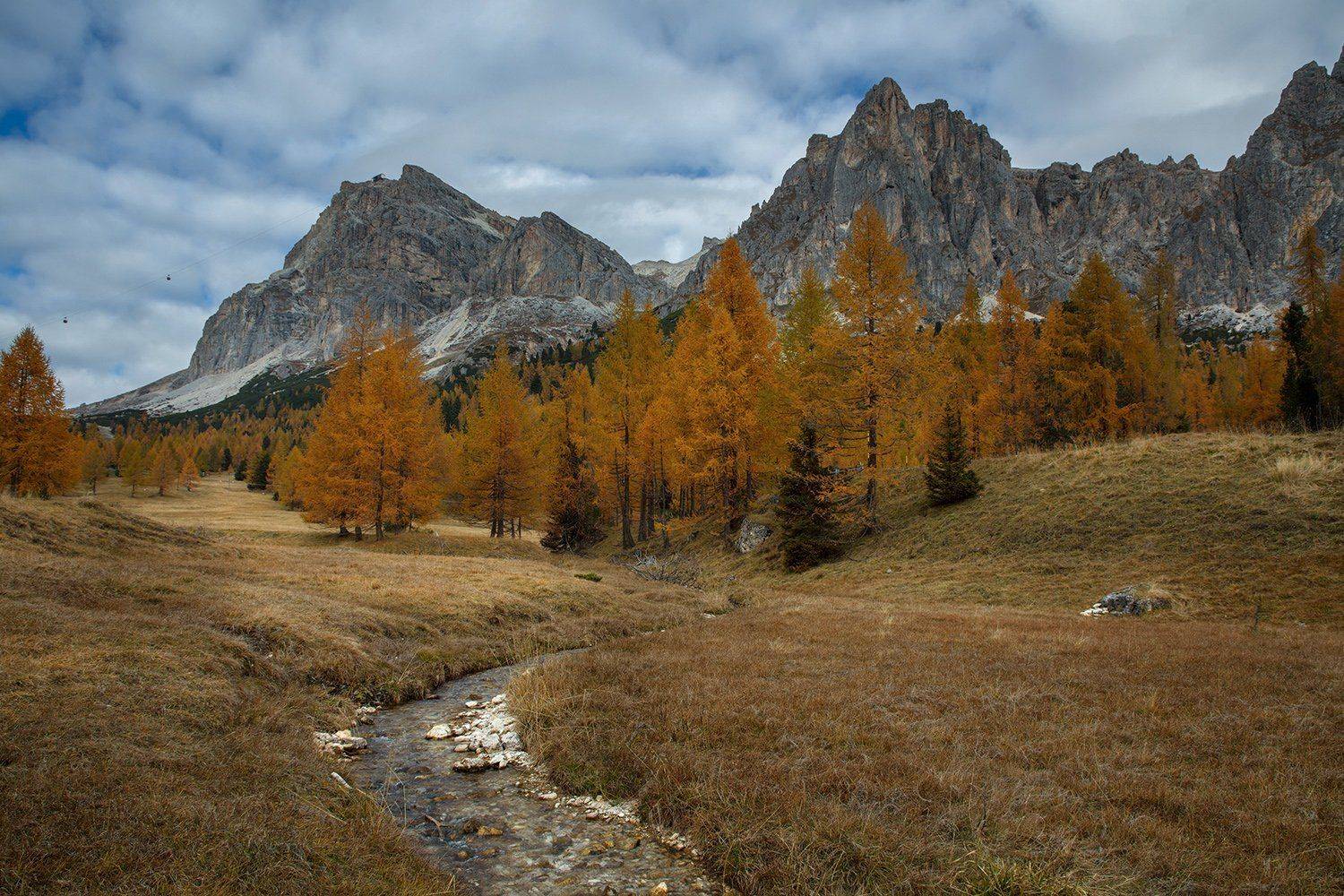 , Игорь Дубровский