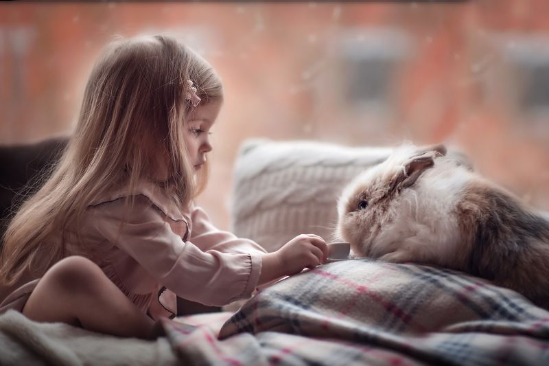 Чаепитие фото превью