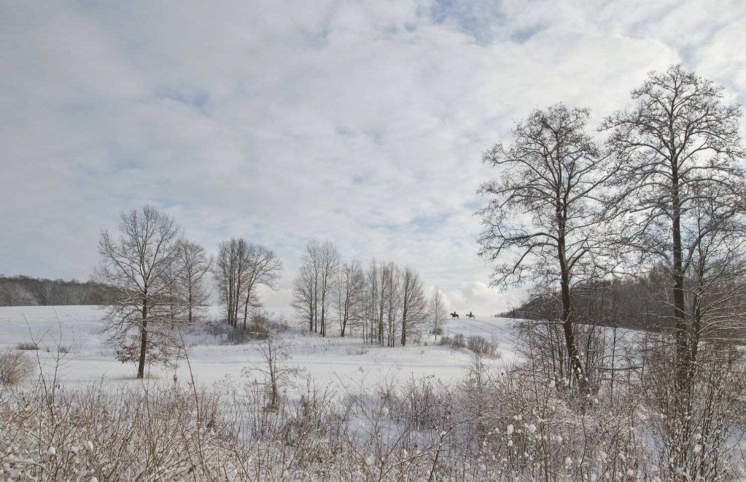 зима, ясная поляна, всадники, природа, Михаил Агеев