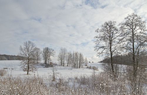 Всадники