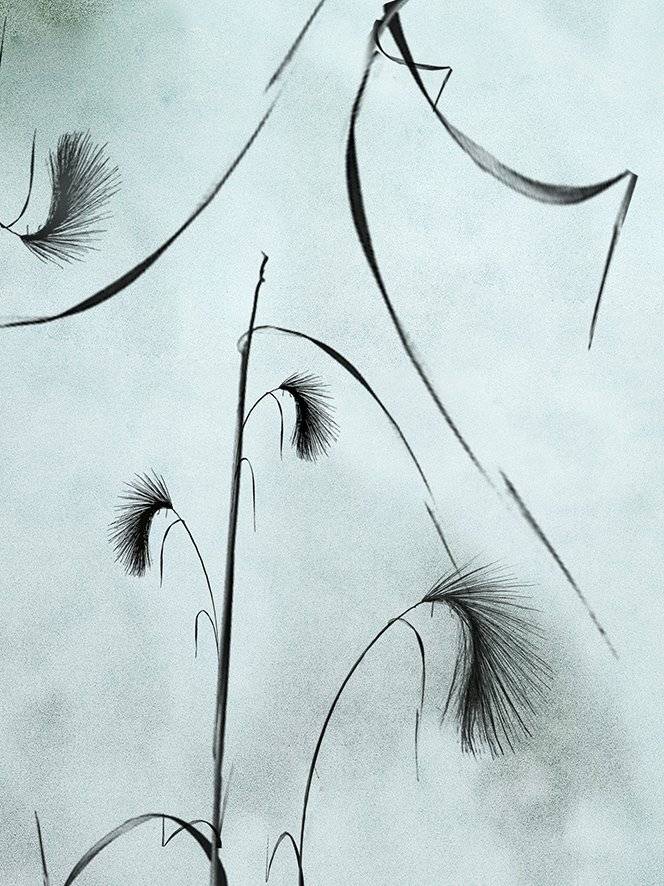 , T. Bondarenko