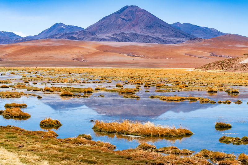 Оазис в пустыне Атакама фото превью