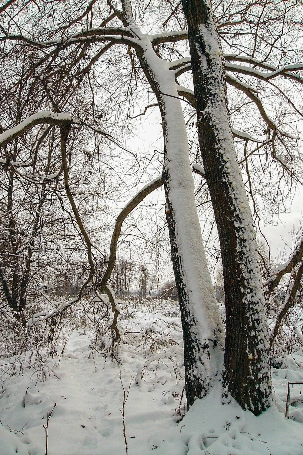 , Руслан Востриков