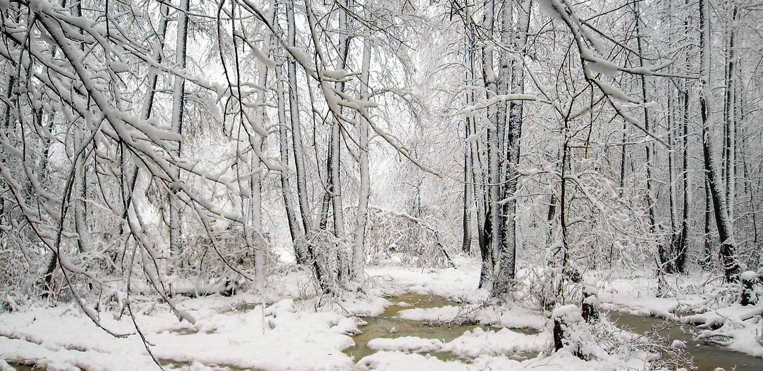 , Руслан Востриков