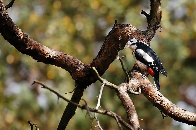 Вы кто такие? Я вас не звал фото превью