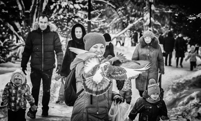 ... фото превью