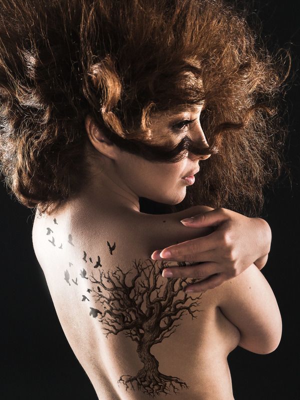 ветер, дерево и птицы фото превью