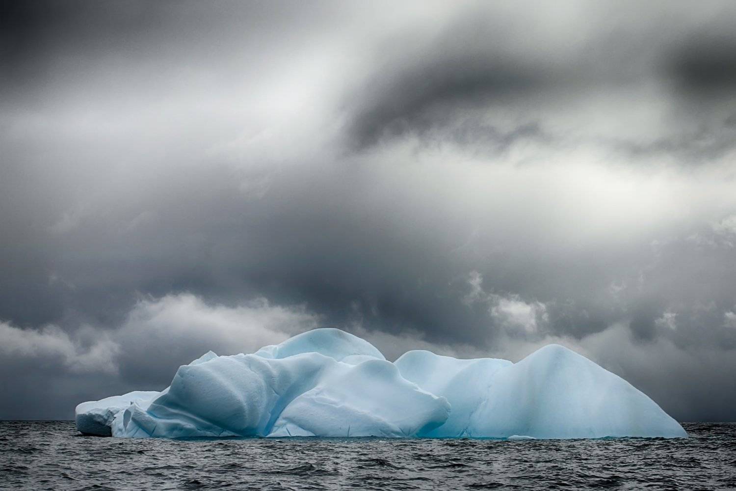 , Николай Шелепов