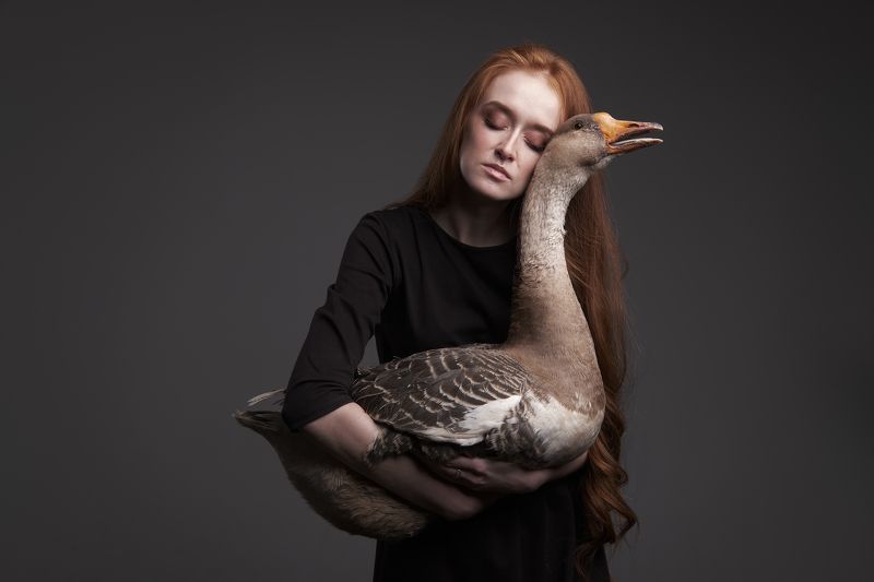 girl, portrait, redhead, goose Anna фото превью