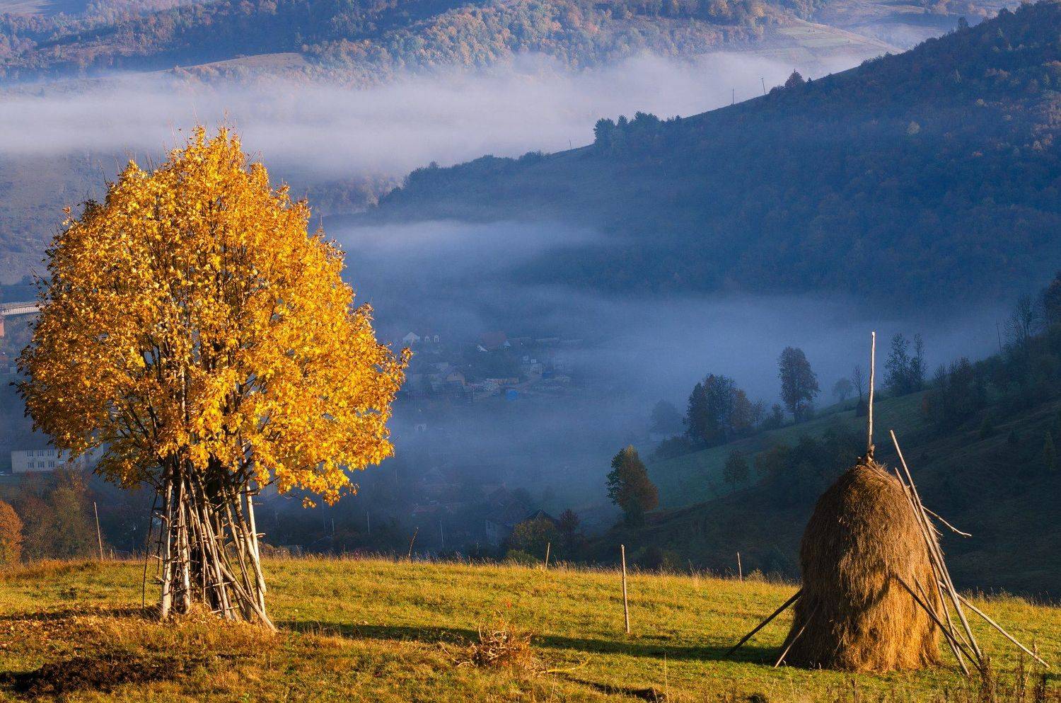 украина, карпаты, боржава, Зинченко Роман