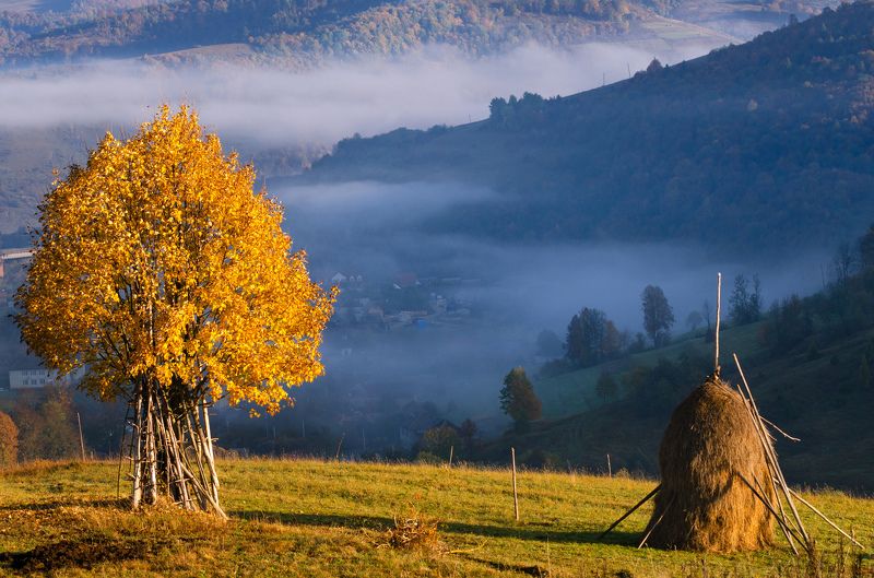 украина, карпаты, боржава Соседи фото превью