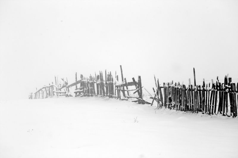 снег фото превью