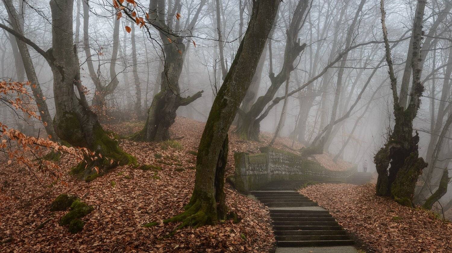 , Шевченко Юрий