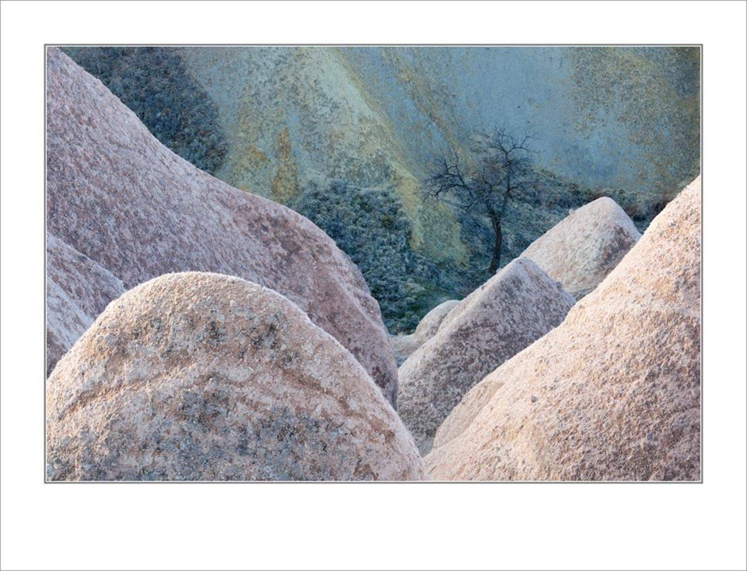 , Питенин Дмитрий