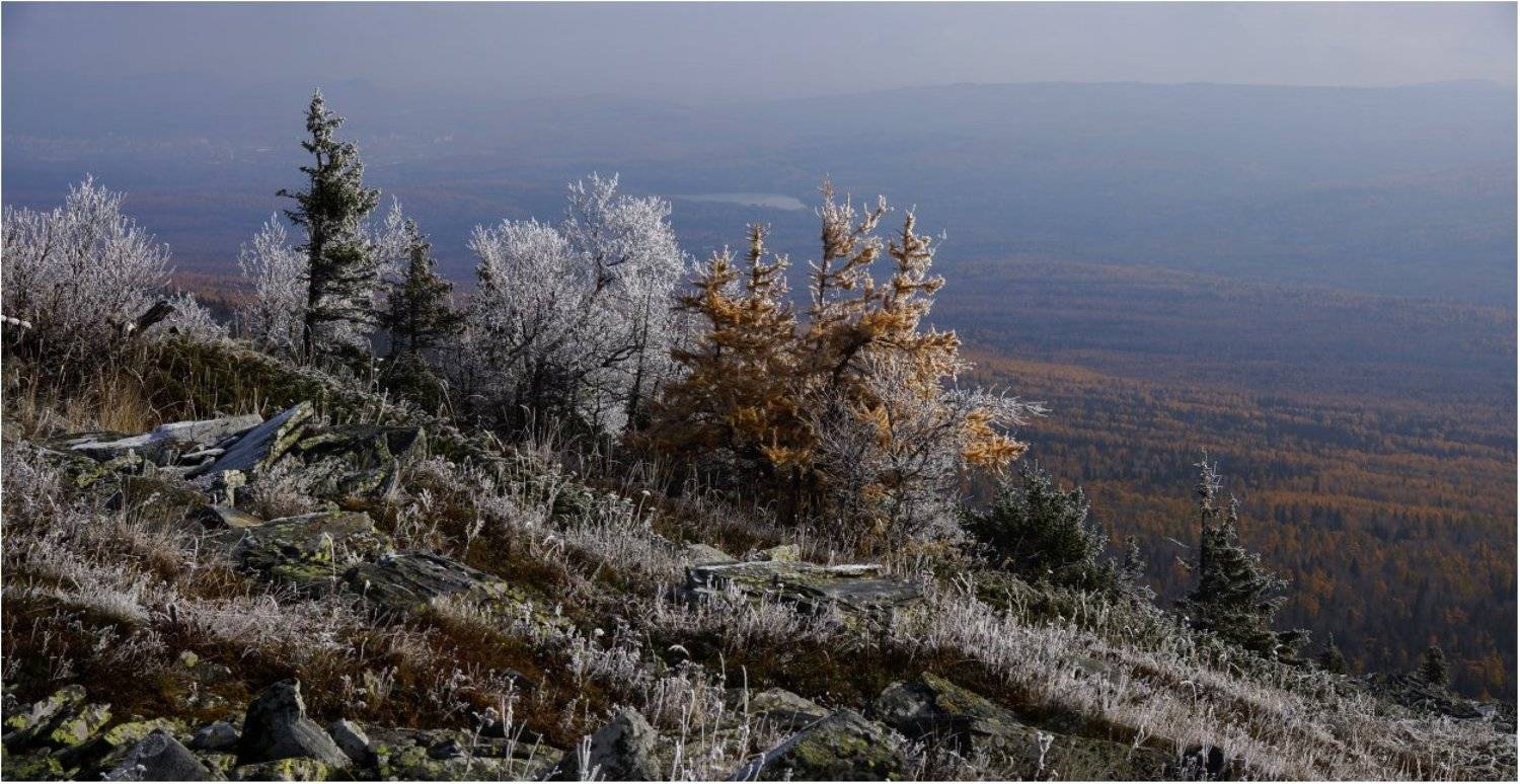 урал., Кондратьев Алексей