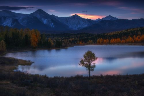 Классика Киделю