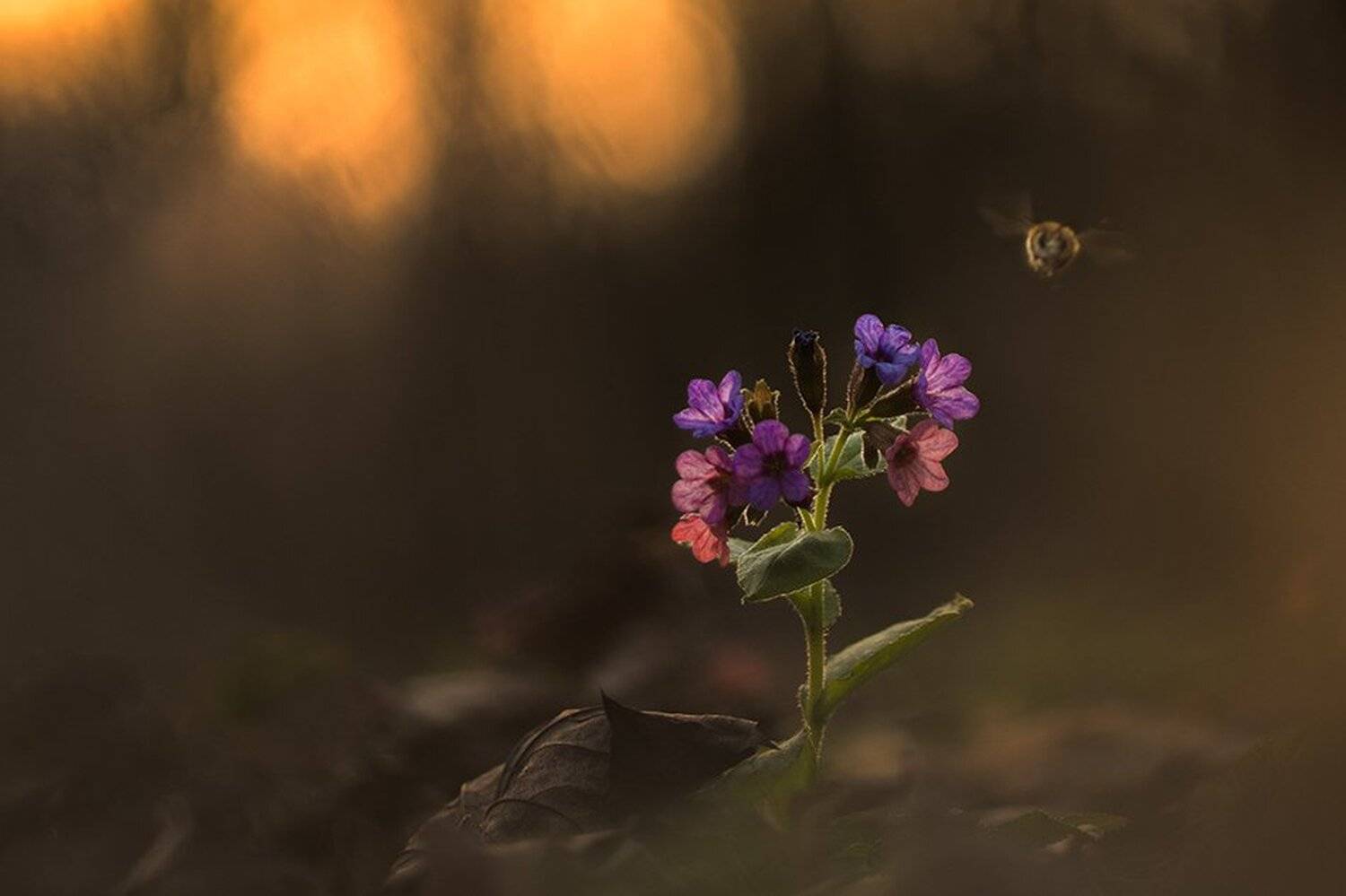, Евгений Лукашук