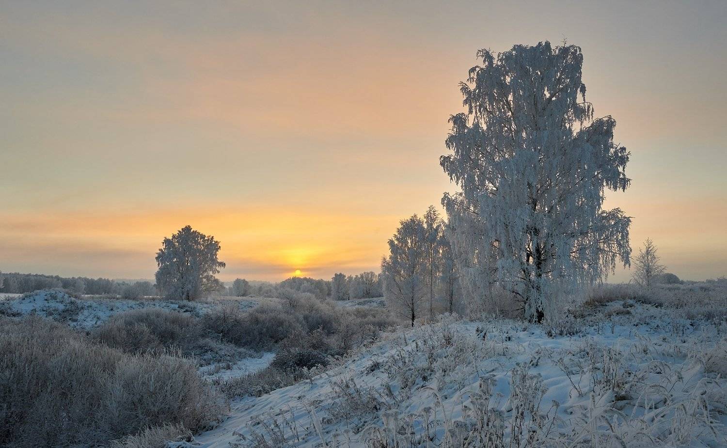 , Бурцев Дмитрий