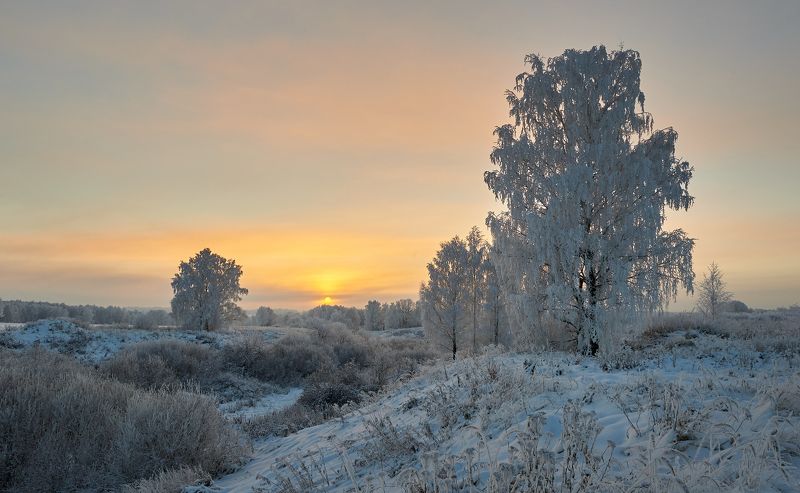 морозно фото превью