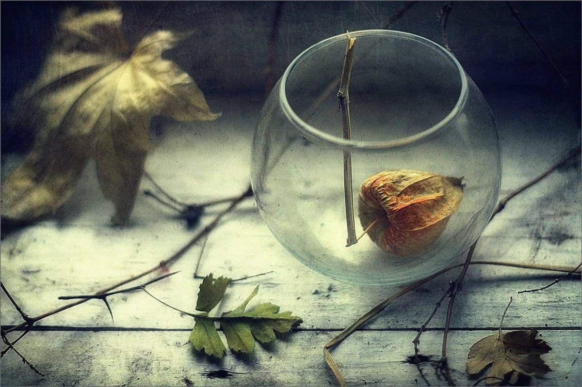 , Александр Хромеев