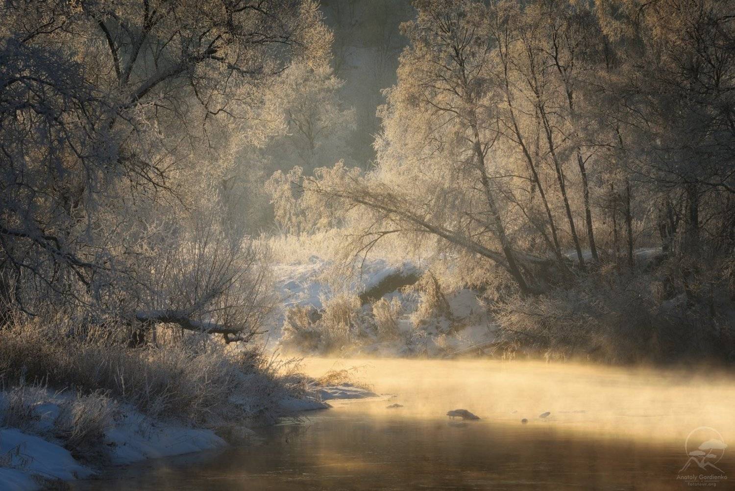 , Анатолий Гордиенко