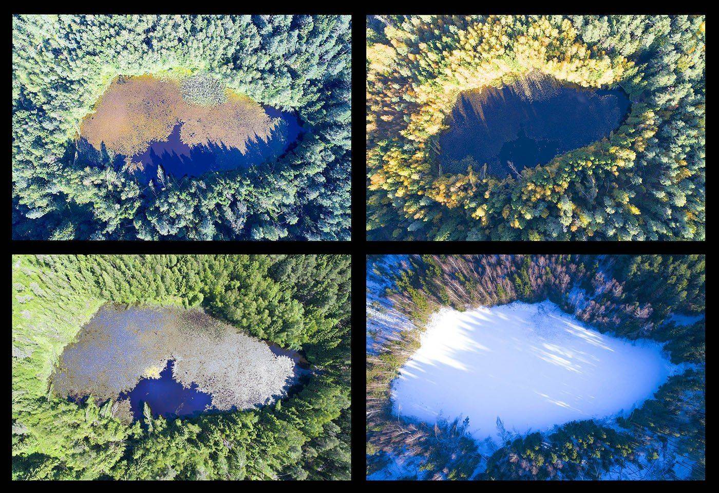 московская область, аксаково, дрон, aerial, Борис Резванцев