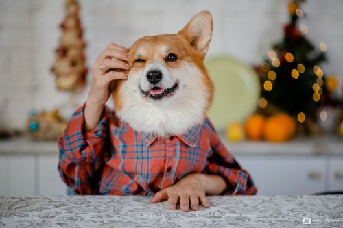 Как? Новый год уже на носу???