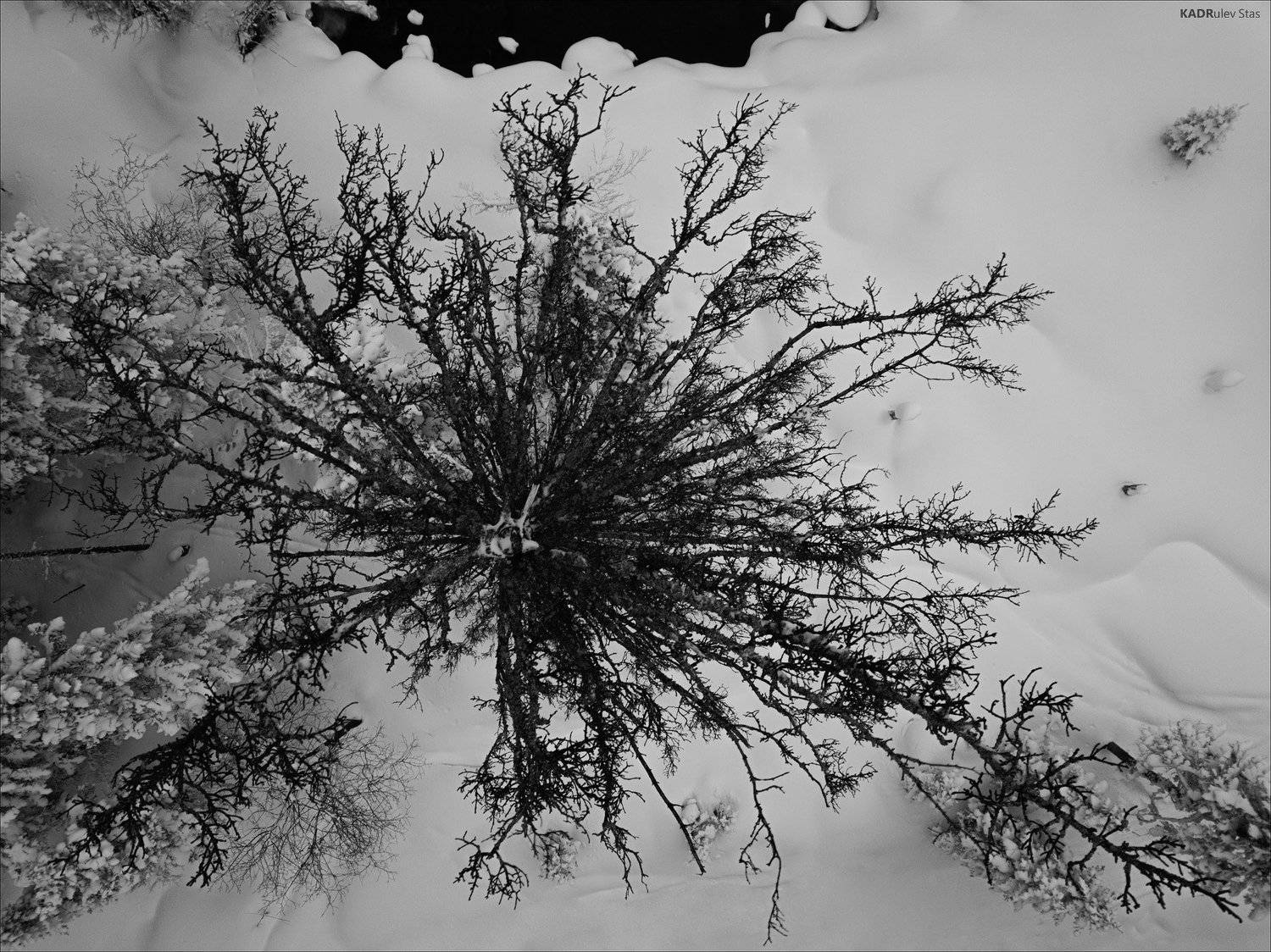 Хамар дабан, Стас Кадрулёв