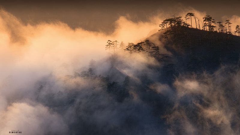 Японские мотивы Иографа. фото превью