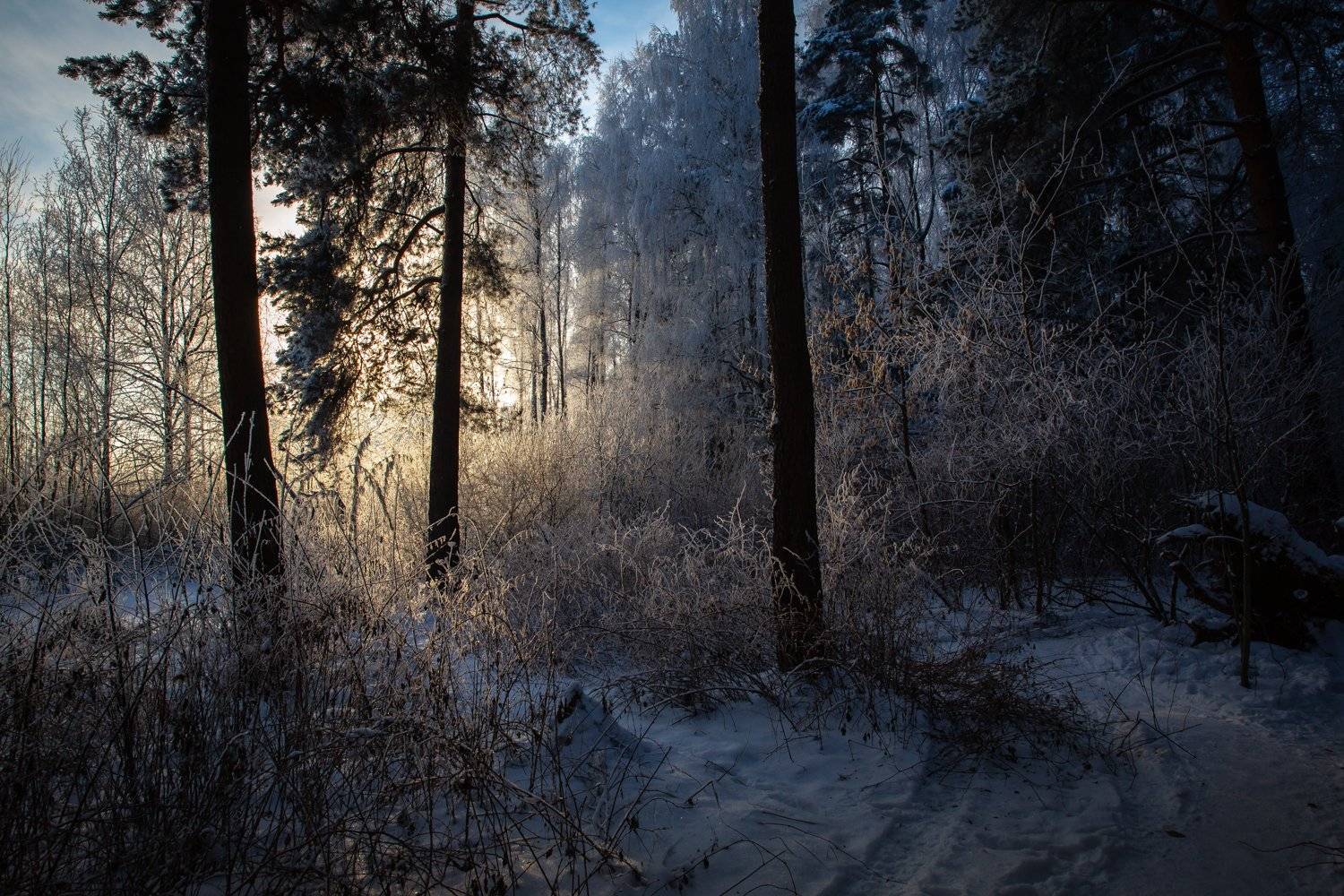 , Ирина Назарова