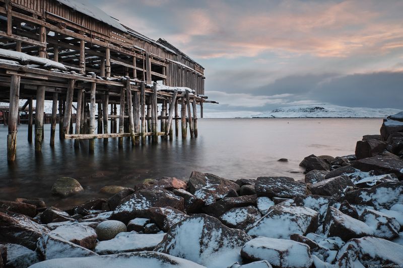 баренцево море,териберка,утро,зима,крайний север,заполярный круг,пейзаж,россия,,берег,снег,лёд,рассвет,камни,постройка,заброшка Рассвет в Лодейной губе Баренцева моря фото превью