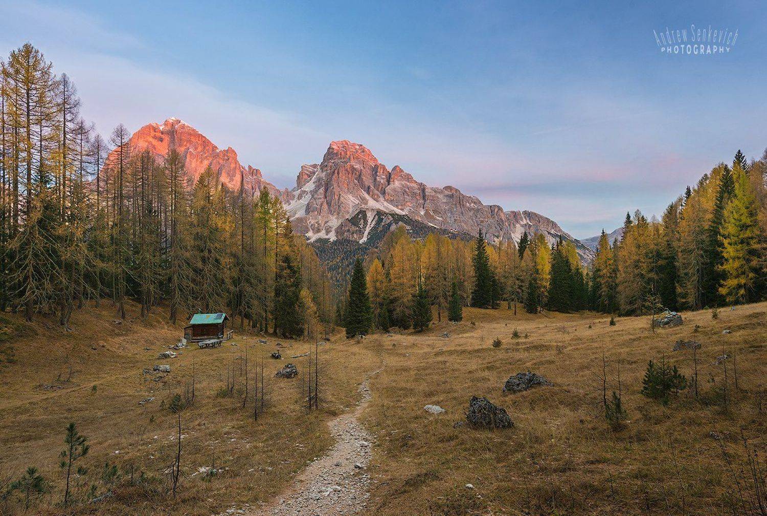 , Андрей Сенкевич