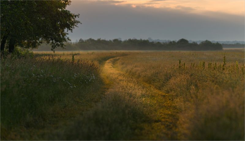 июньским утром фото превью