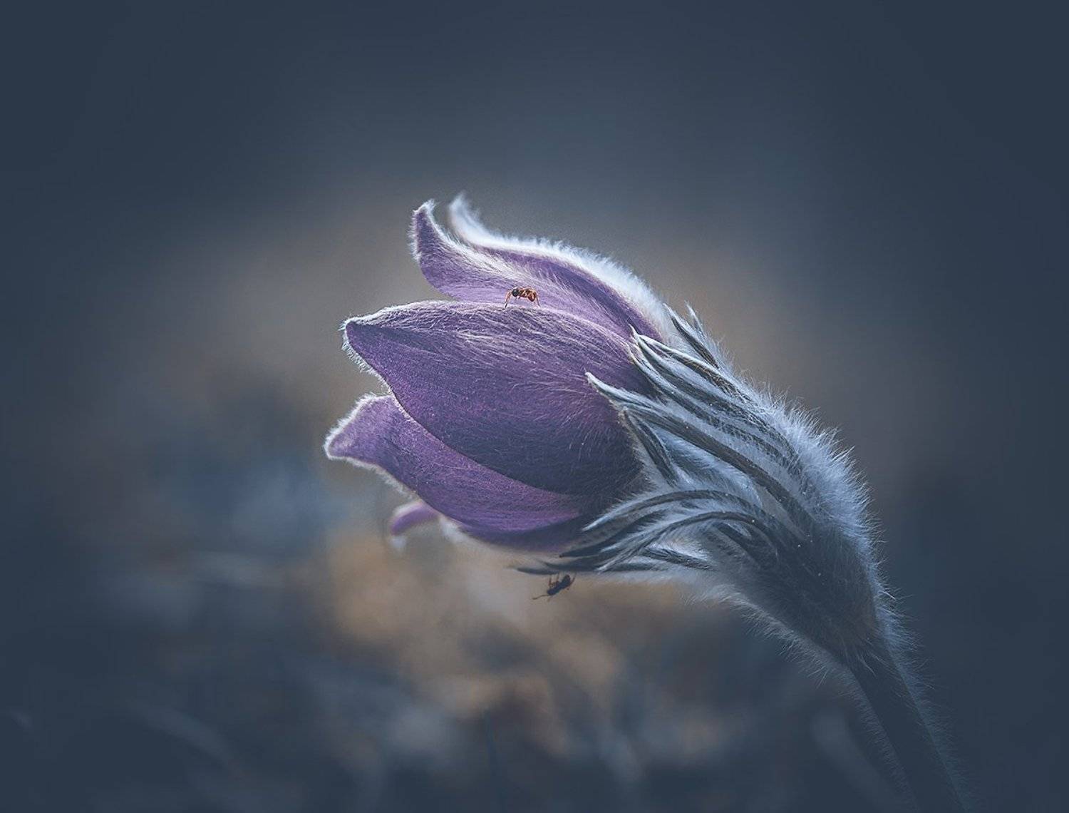 , Анатолий Зверев