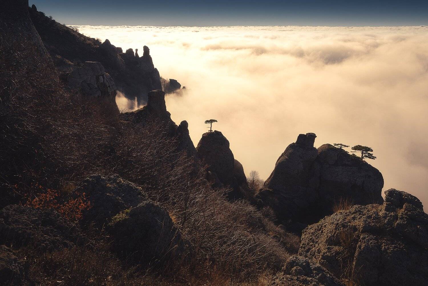, Oleg Feofanov