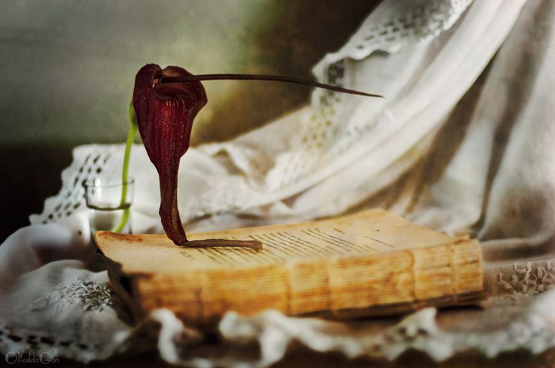 Cala negra фото превью