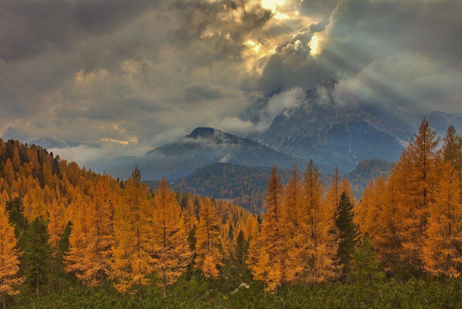 , Игорь Дубровский