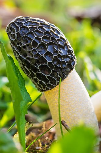 Однажды в октябре ...