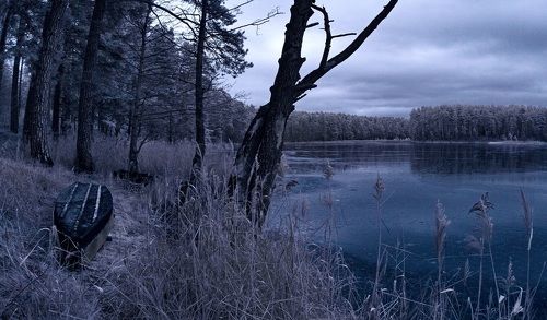Рисунок из декабря. Инфракрасная фотография.