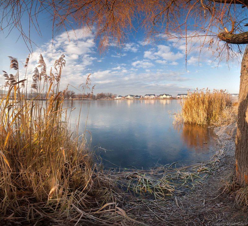 alexey, алексей, речка, ріка, річка, Медведев, Васильков, Васильків, Стугна, Vasilkov, Medvedev, viter, viterman	 Под ивами фото превью