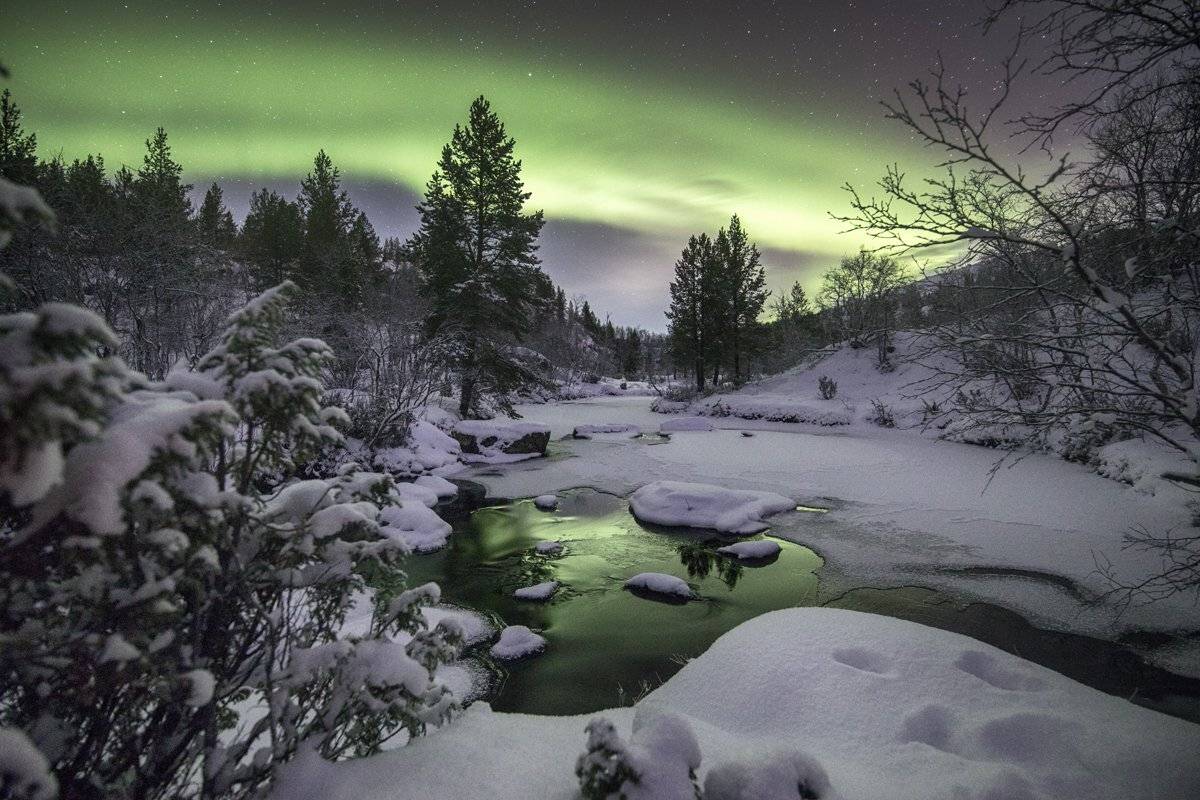 мурманская область, Daemus