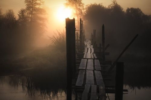 Morning On The River