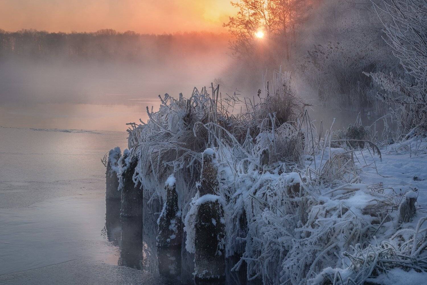 шатура, озеро, белое, пейзаж, иней, лед, снег, туман, пар, зима, изморозь, рассвет, солнце, Андрей Чиж