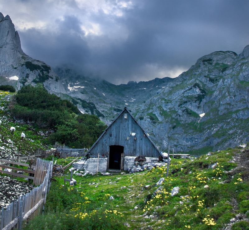 montenegro, durmitor, mountain, hut, wooden, lodge, черногория, дурмитор, гора, хижина, деревянная, домик, Mountain life фото превью