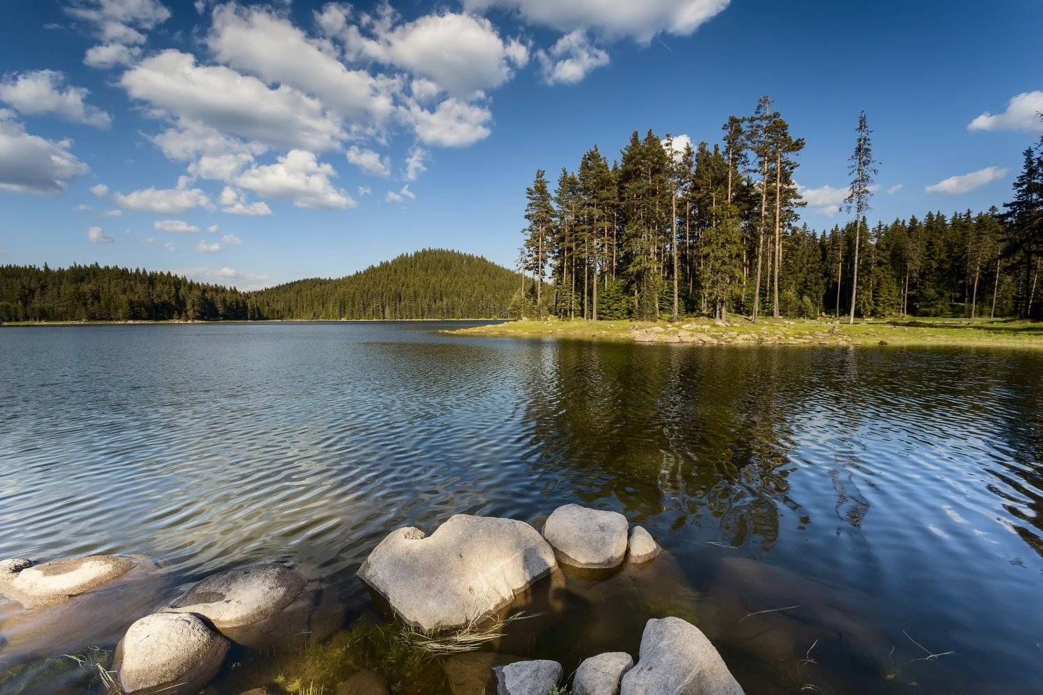 , Александър Сандев